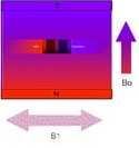 nuclei in field line up